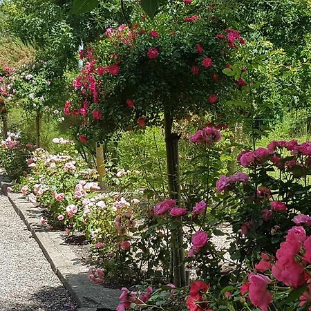 Вилла Domaine Les Rousselieres Олон-сюр-Мер Экстерьер фото