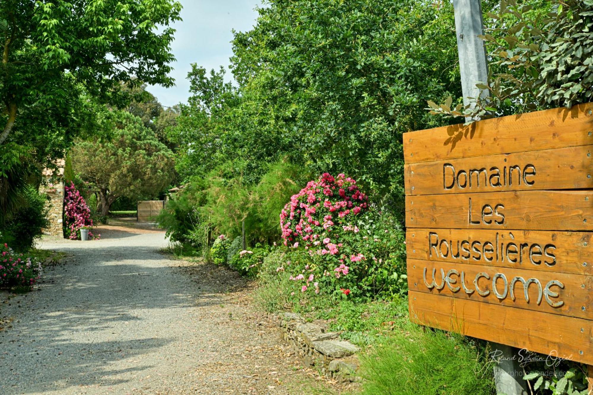 Вилла Domaine Les Rousselieres Олон-сюр-Мер Экстерьер фото