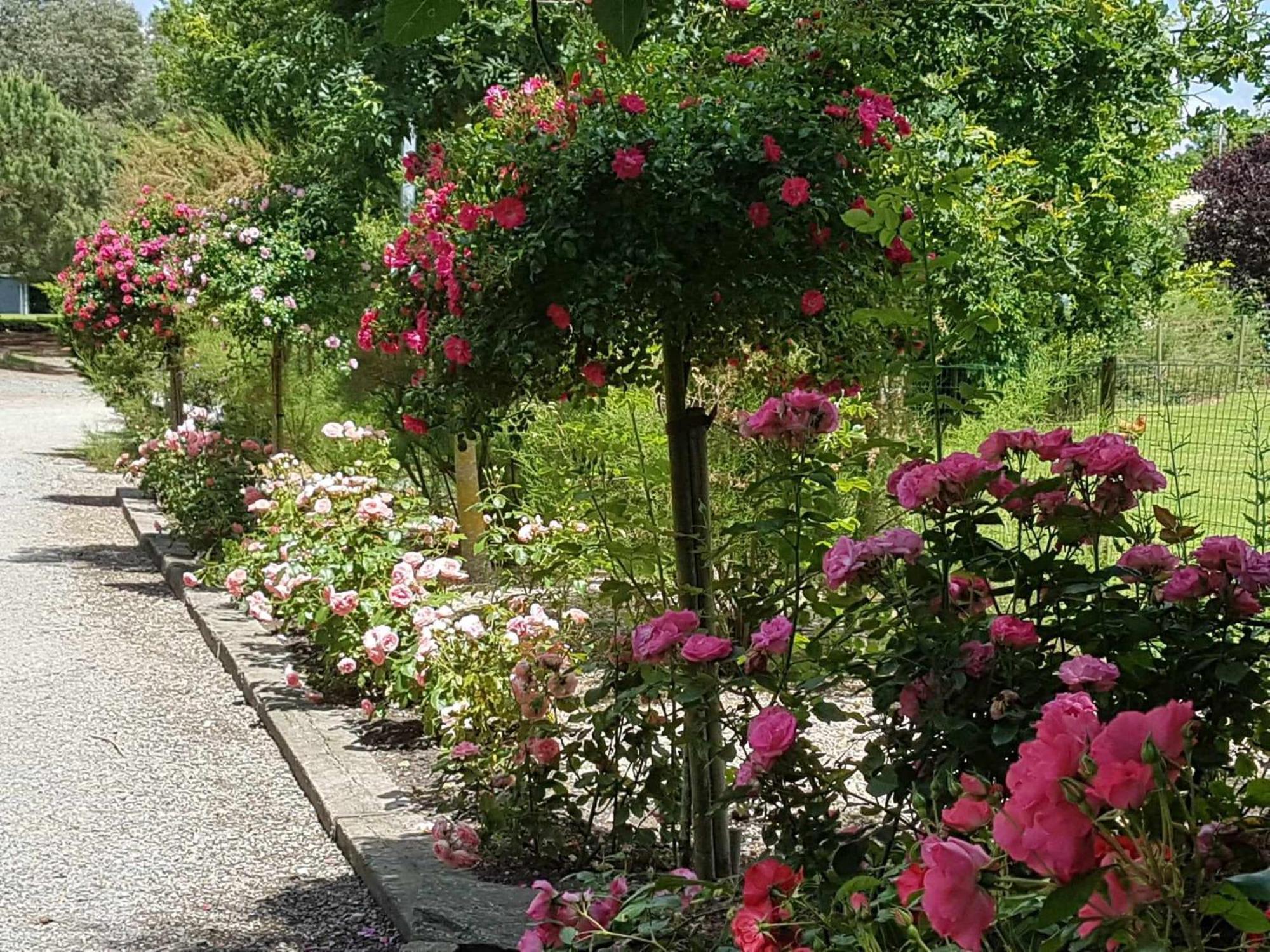 Вилла Domaine Les Rousselieres Олон-сюр-Мер Экстерьер фото