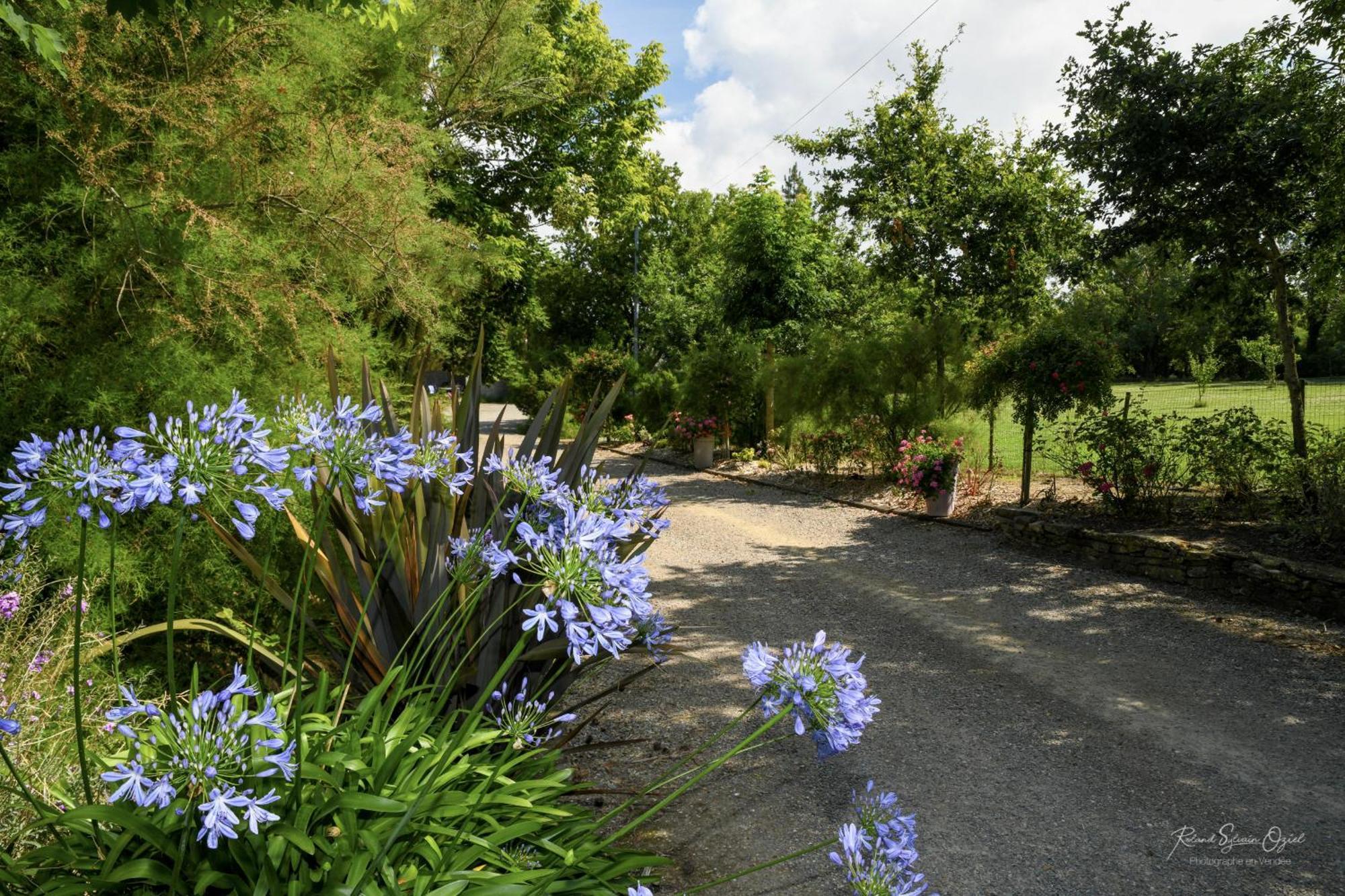 Вилла Domaine Les Rousselieres Олон-сюр-Мер Экстерьер фото
